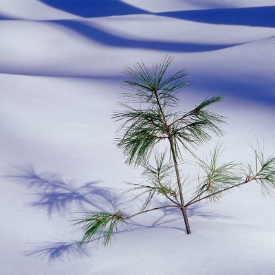 1920 x 1080 HD Wallpapers 2874